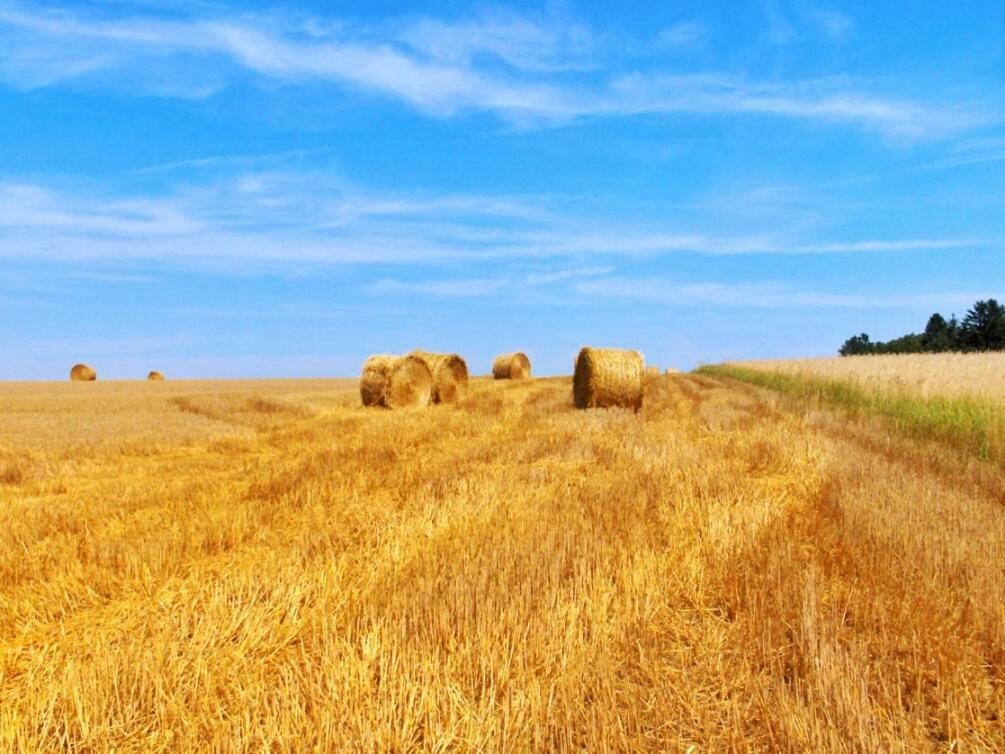 Casa Dante Leilighet Vivo dʼOrcia Eksteriør bilde