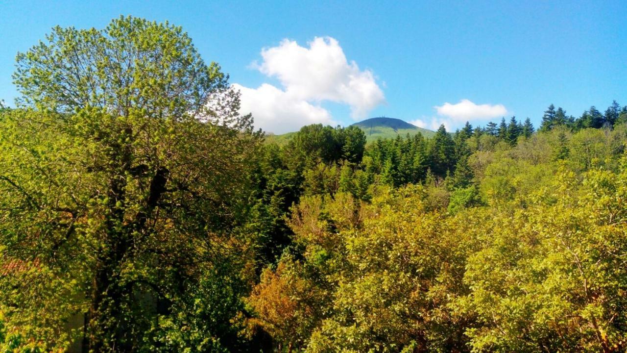 Casa Dante Leilighet Vivo dʼOrcia Eksteriør bilde